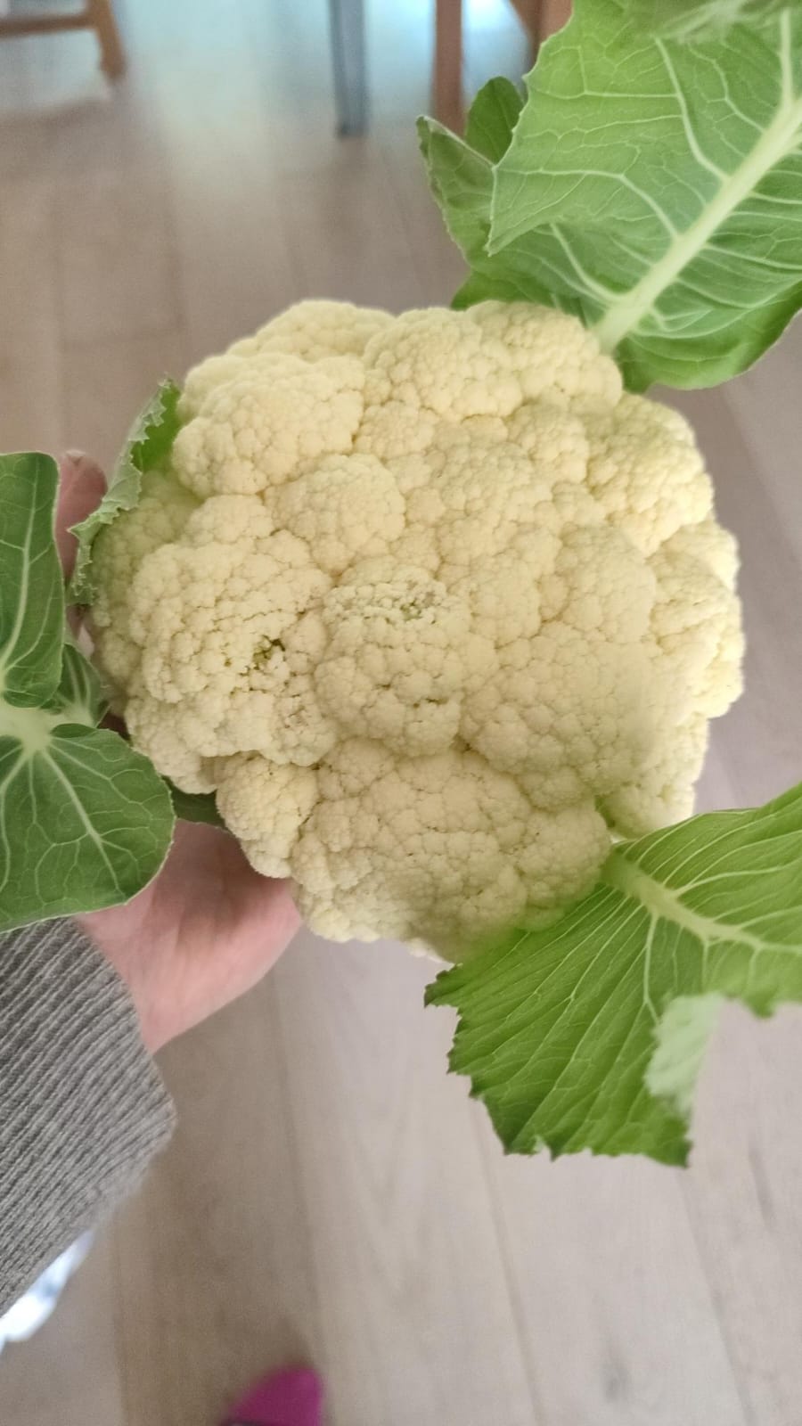 Cauliflower